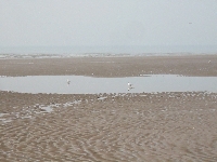 Blackpool Beach (day) 4.jpg